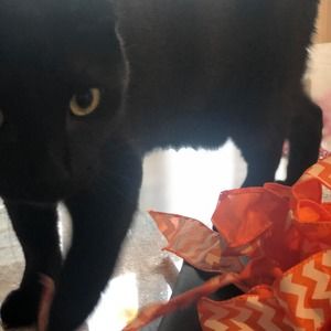 Meet your Posher, Jamie